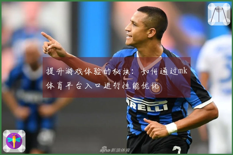 提升游戏体验的秘诀：如何通过mk体育平台入口进行性能优化