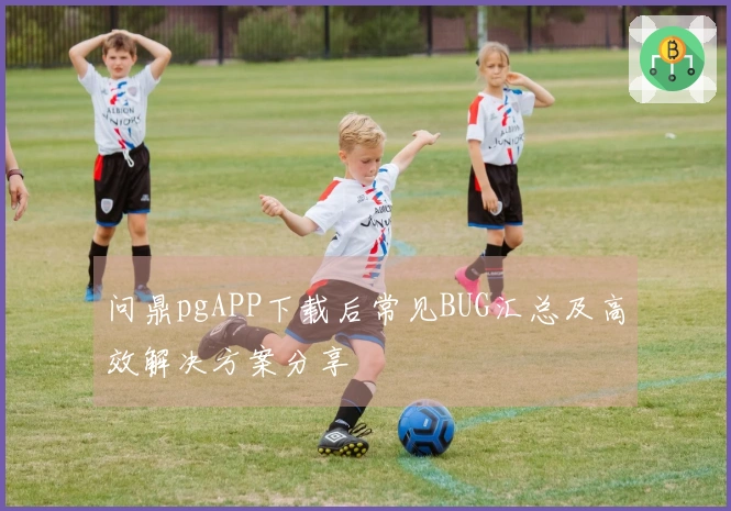 问鼎pgAPP下载后常见BUG汇总及高效解决方案分享