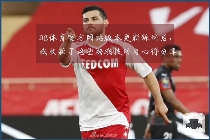 ng体育官方网站版本更新踩坑后，我收获了这些游戏技巧与心得分享