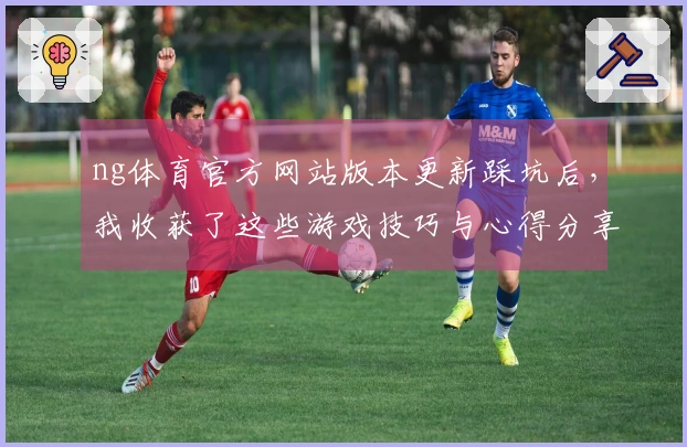 ng体育官方网站版本更新踩坑后，我收获了这些游戏技巧与心得分享
