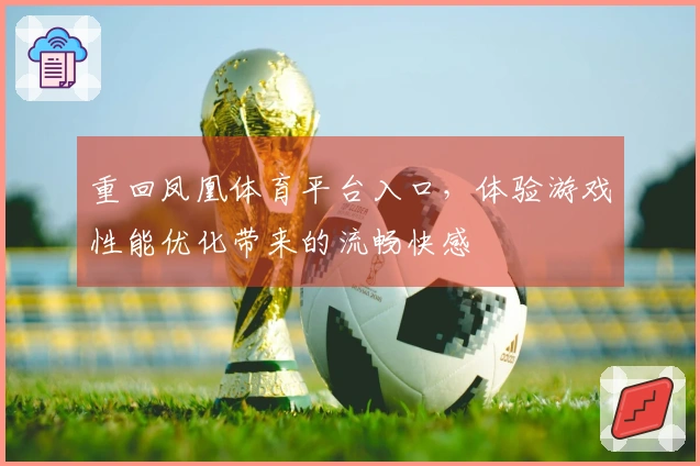 重回凤凰体育平台入口，体验游戏性能优化带来的流畅快感